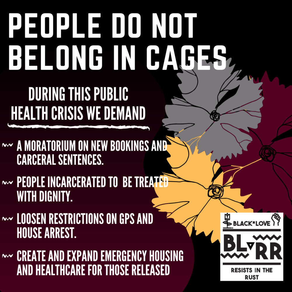 People Do Not Belong in Cages - Demands 2 (1).png
